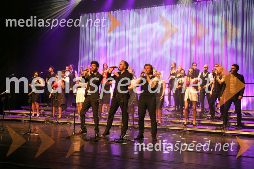 Mediaspeed Perpetuum Jazzile Koncert