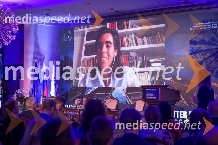 Mednarodna investitorska konferenca 2021