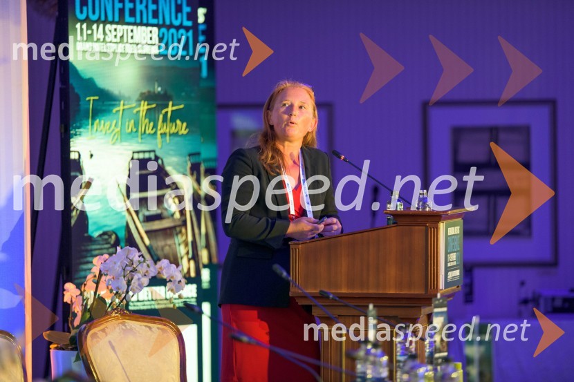 Mednarodna investitorska konferenca 2021