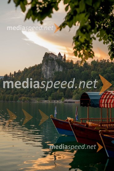 Mednarodna investitorska konferenca 2021