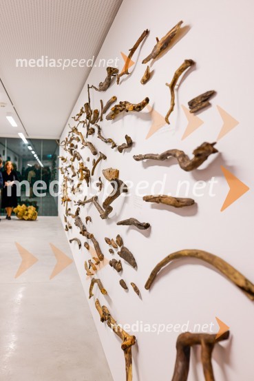 Otvoritev prenovljene Cukrarne