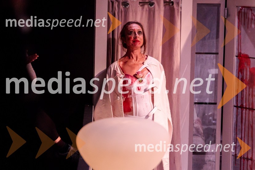 Norišnica d.o.o., premiera Slovenskega mladinskega gledališča Ljubljana