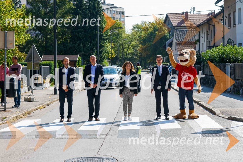 3D zebra odslej tudi v Ljubljani