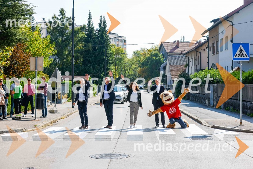 3D zebra odslej tudi v Ljubljani