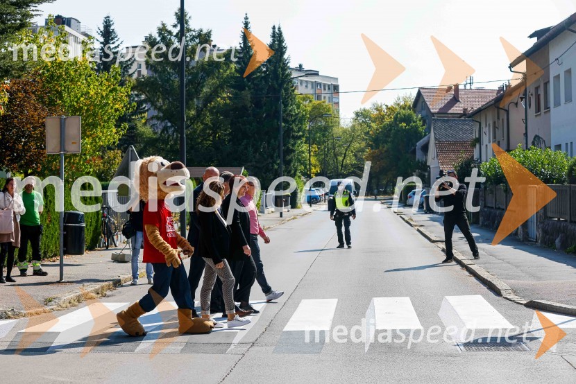 3D zebra odslej tudi v Ljubljani