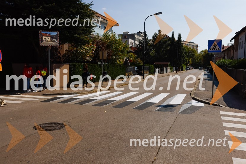 3D zebra odslej tudi v Ljubljani