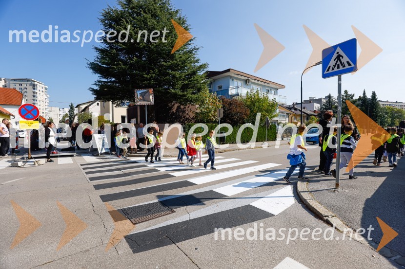 3D zebra odslej tudi v Ljubljani