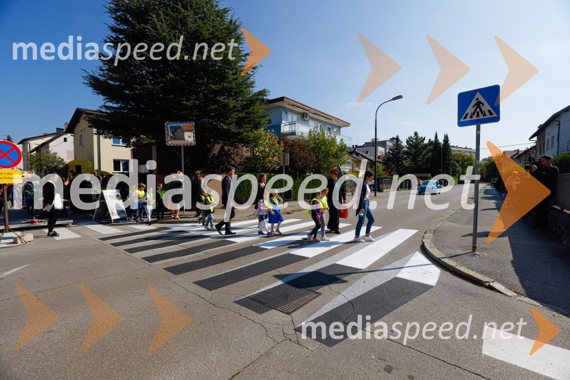 3D zebra odslej tudi v Ljubljani