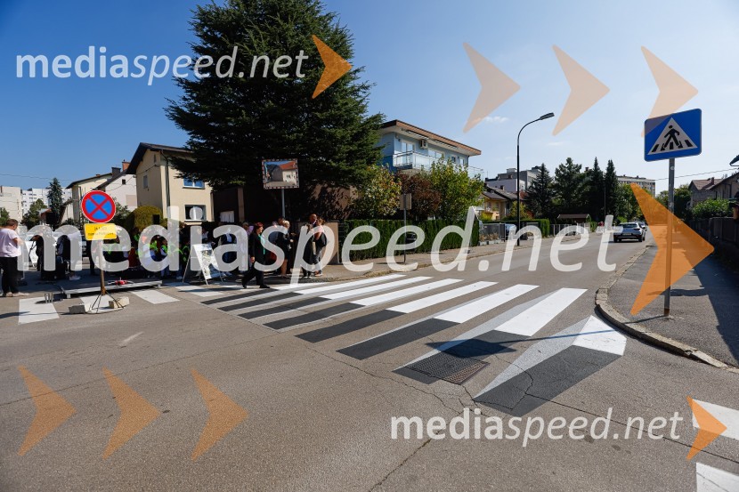 3D zebra odslej tudi v Ljubljani