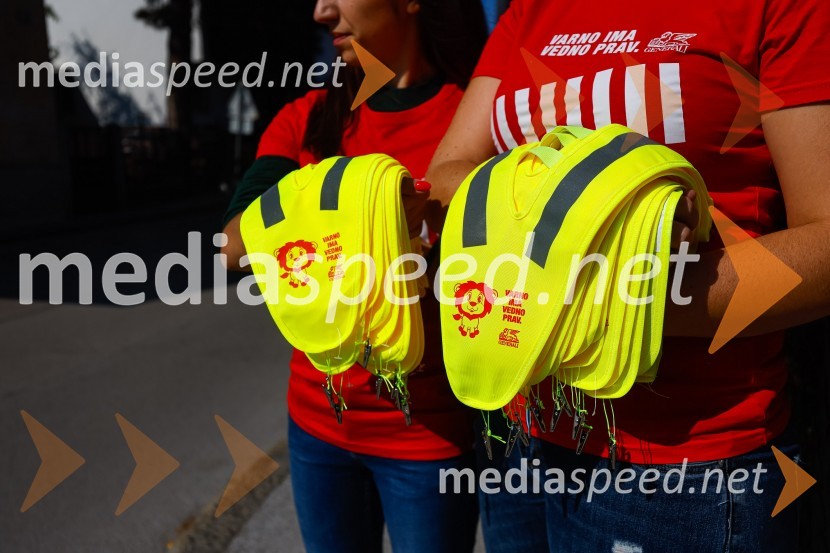 3D zebra odslej tudi v Ljubljani