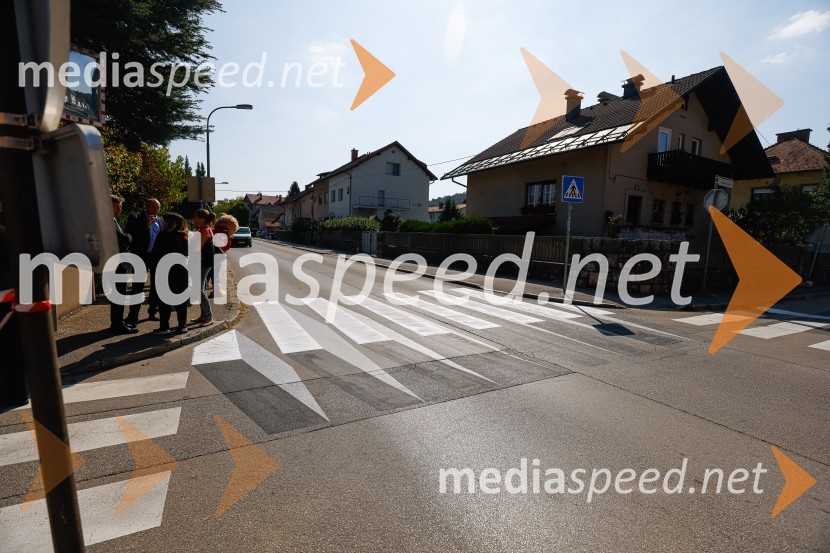 3D zebra odslej tudi v Ljubljani