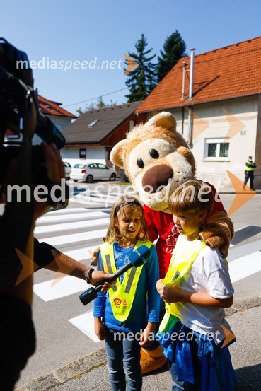 3D zebra odslej tudi v Ljubljani