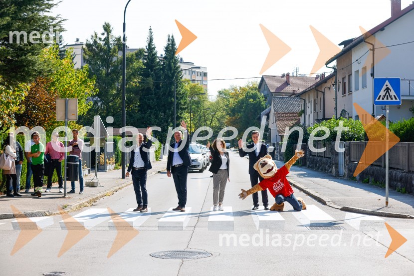 3D zebra odslej tudi v Ljubljani