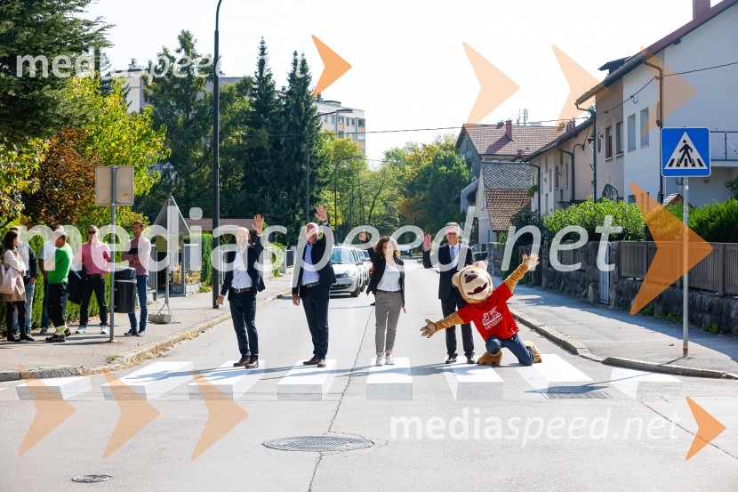 3D zebra odslej tudi v Ljubljani