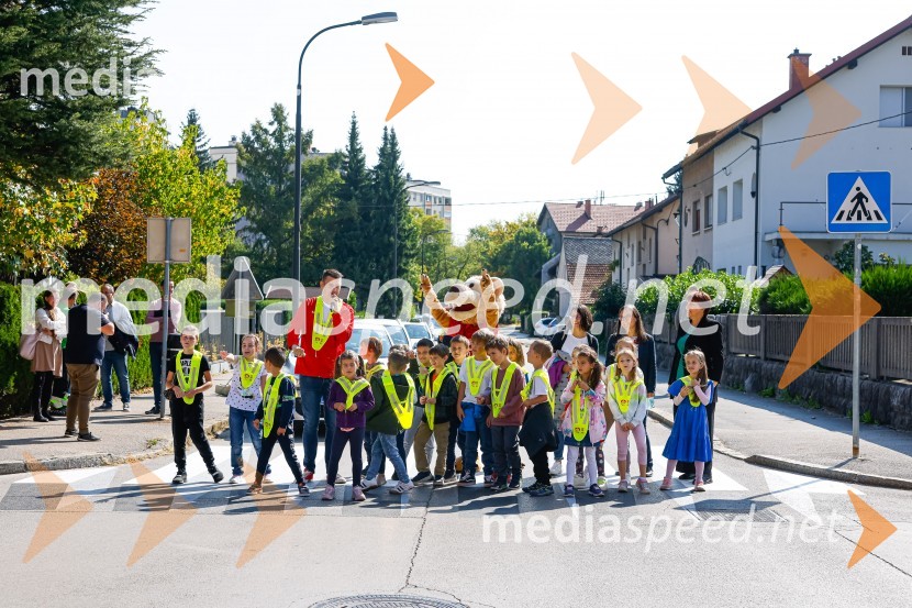 3D zebra odslej tudi v Ljubljani