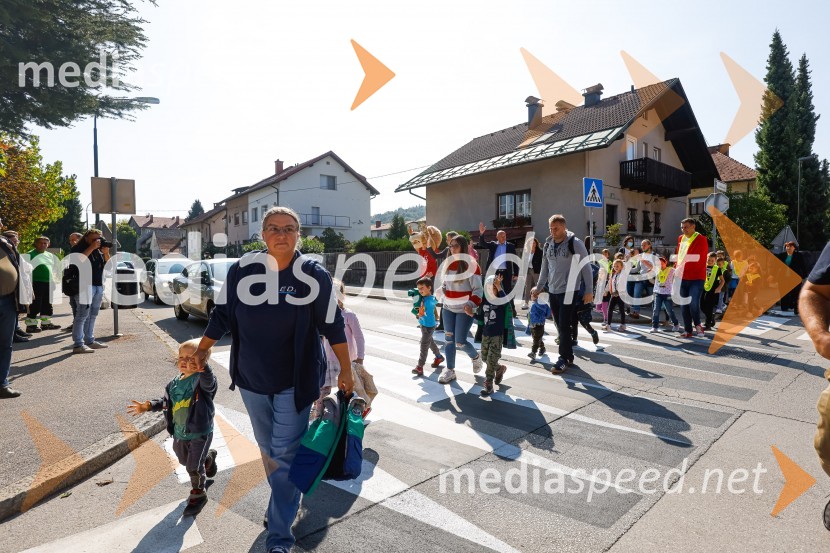 3D zebra odslej tudi v Ljubljani