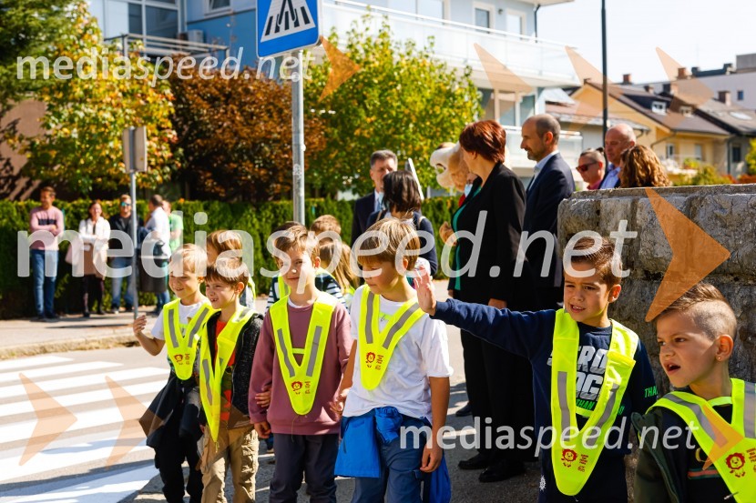 3D zebra odslej tudi v Ljubljani