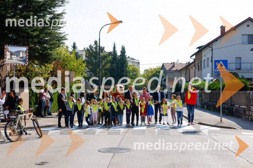 3D zebra odslej tudi v Ljubljani