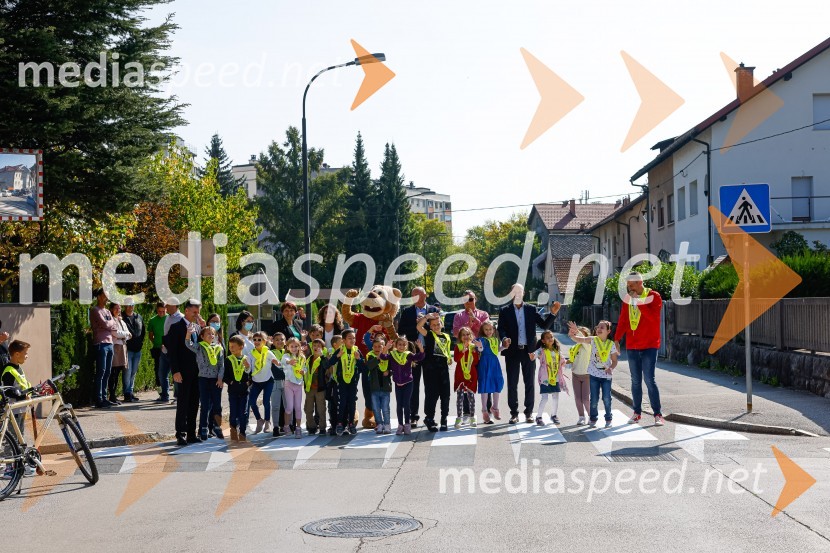 3D zebra odslej tudi v Ljubljani