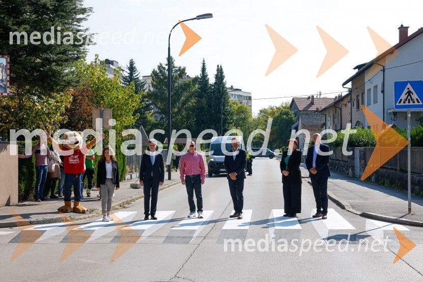 3D zebra odslej tudi v Ljubljani