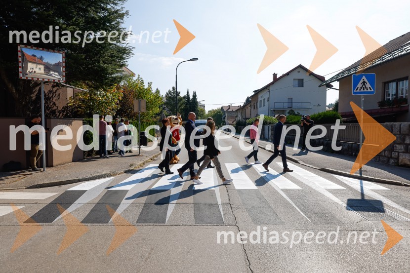 3D zebra odslej tudi v Ljubljani