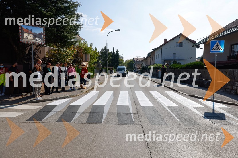 3D zebra odslej tudi v Ljubljani