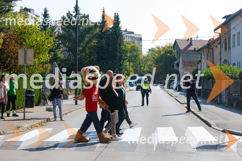 3D zebra odslej tudi v Ljubljani