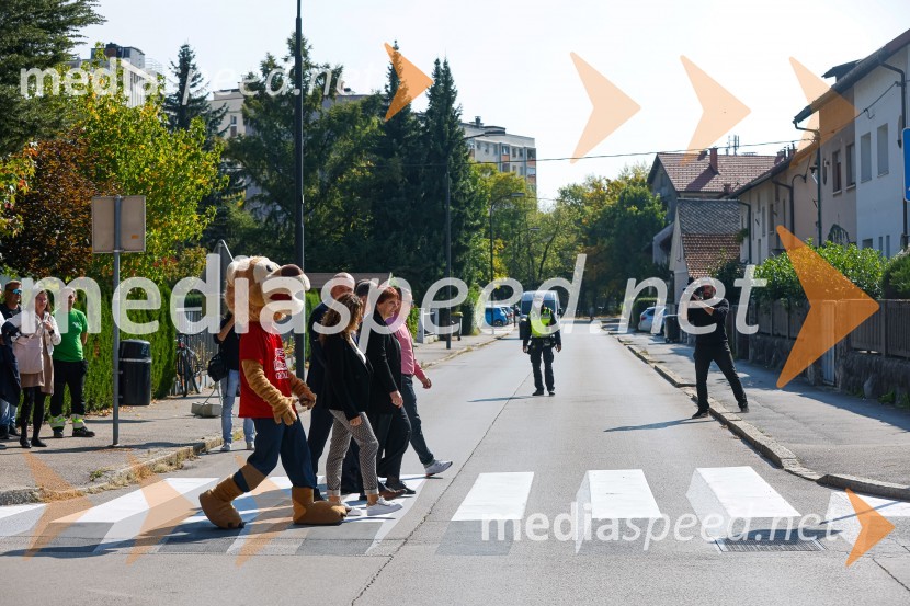 3D zebra odslej tudi v Ljubljani