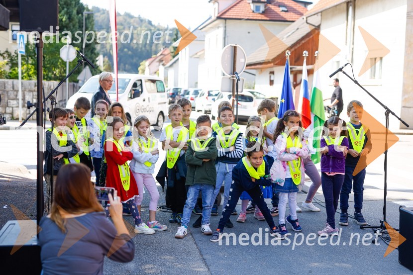 3D zebra odslej tudi v Ljubljani