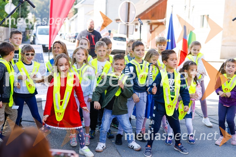 3D zebra odslej tudi v Ljubljani