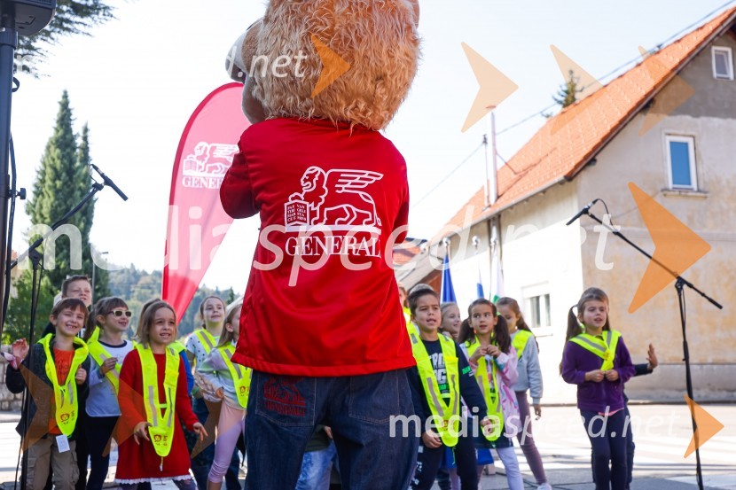 3D zebra odslej tudi v Ljubljani
