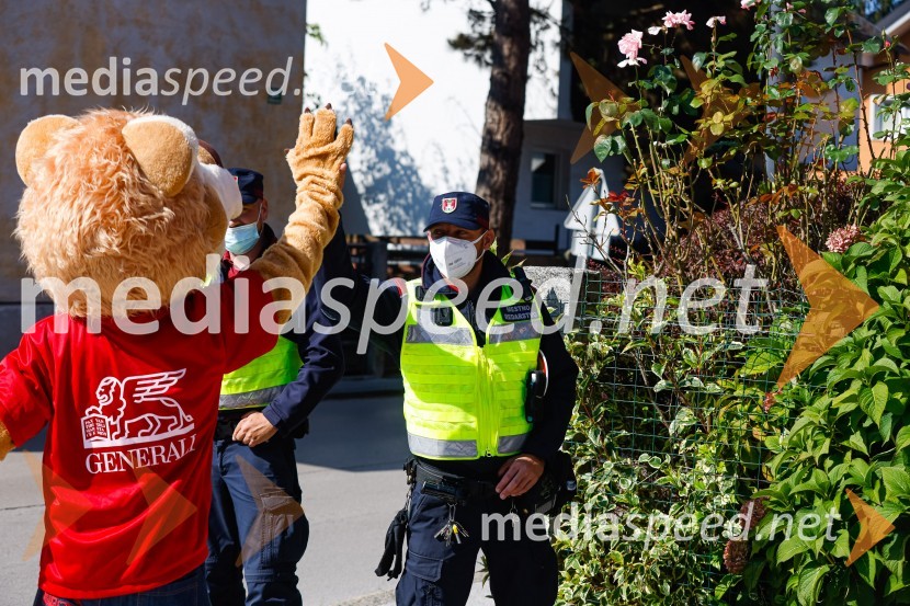 3D zebra odslej tudi v Ljubljani