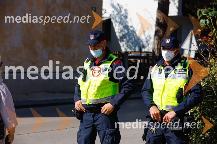 3D zebra odslej tudi v Ljubljani