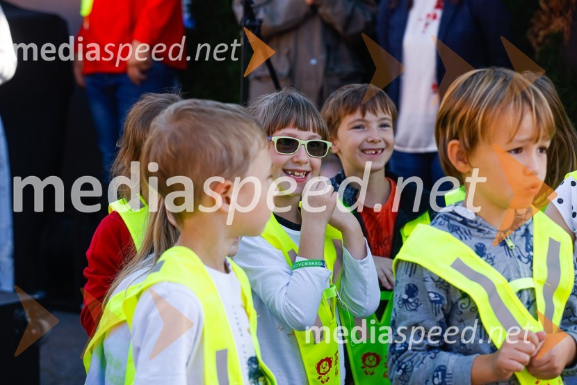 3D zebra odslej tudi v Ljubljani