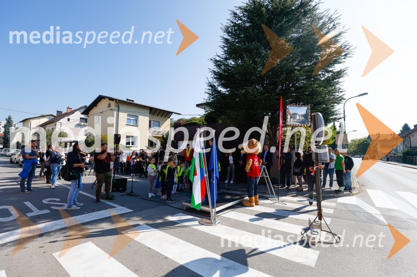 3D zebra odslej tudi v Ljubljani