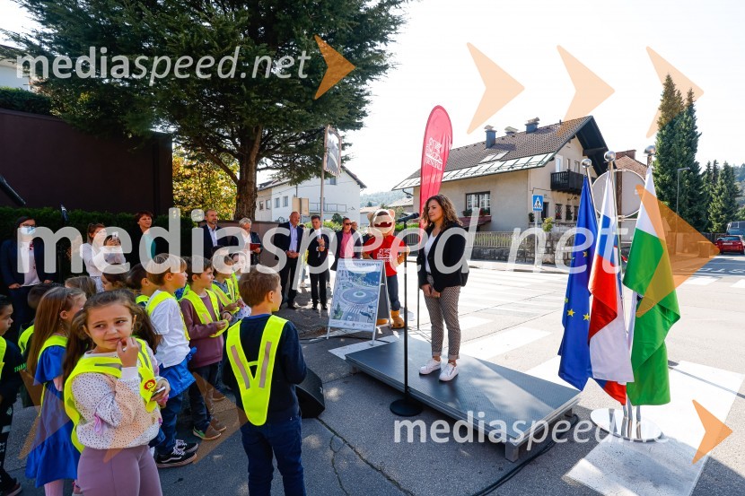 3D zebra odslej tudi v Ljubljani