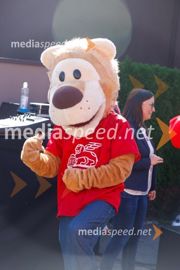 3D zebra odslej tudi v Ljubljani