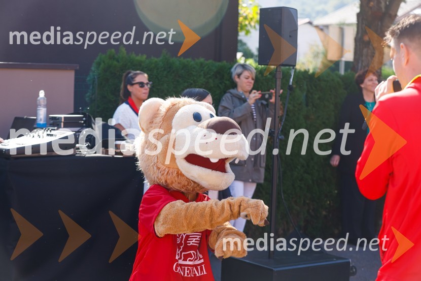 3D zebra odslej tudi v Ljubljani