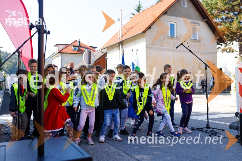 3D zebra odslej tudi v Ljubljani