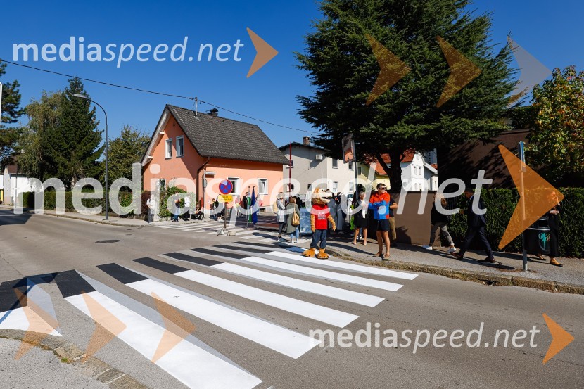 3D zebra odslej tudi v Ljubljani