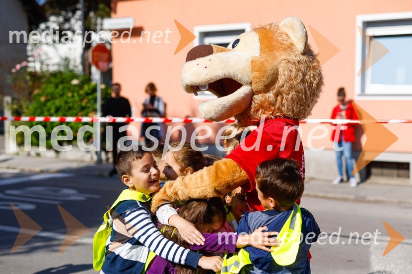 3D zebra odslej tudi v Ljubljani