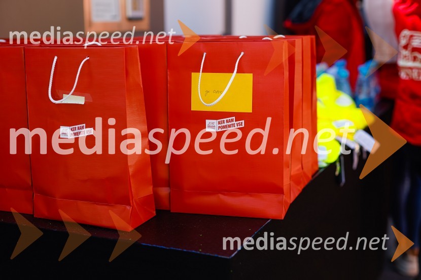 3D zebra odslej tudi v Ljubljani