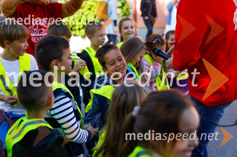 3D zebra odslej tudi v Ljubljani