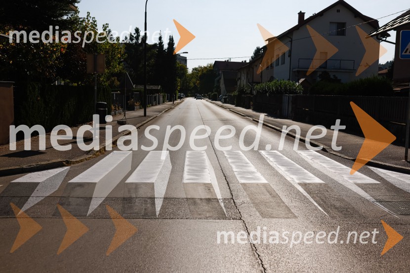 3D zebra odslej tudi v Ljubljani