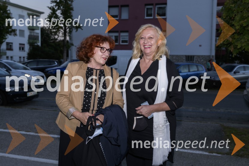 Večernica, 25 let literarne nagrade