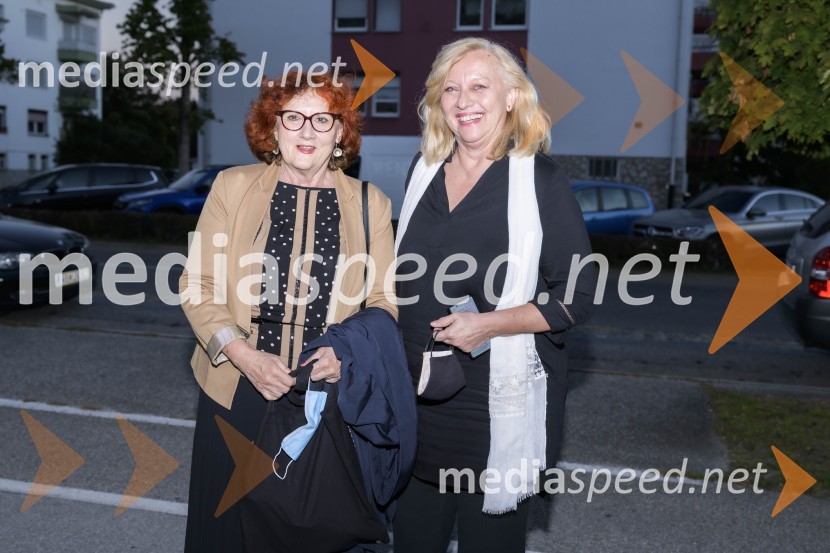 Večernica, 25 let literarne nagrade