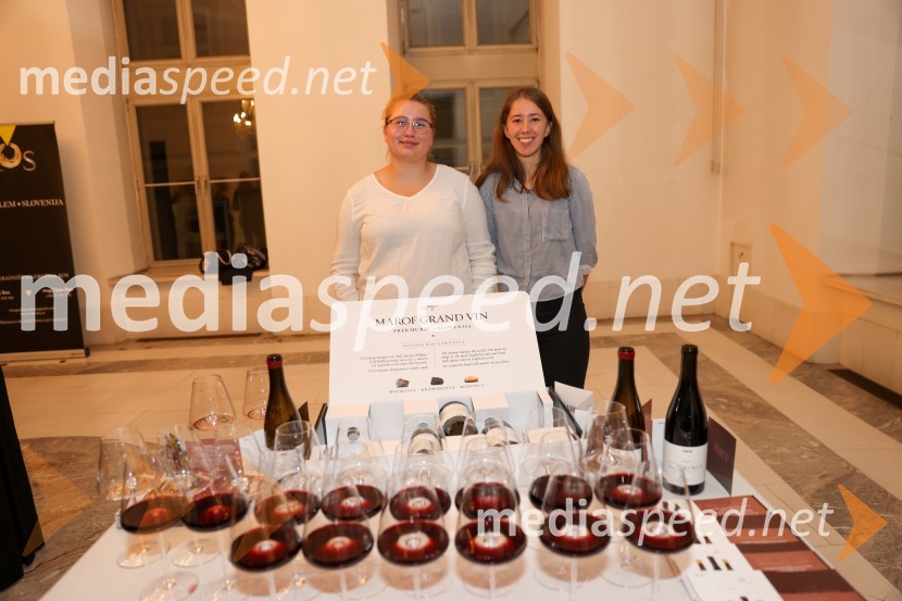 Frišno / Fresh – 1. Dan nove slovenske glasbe