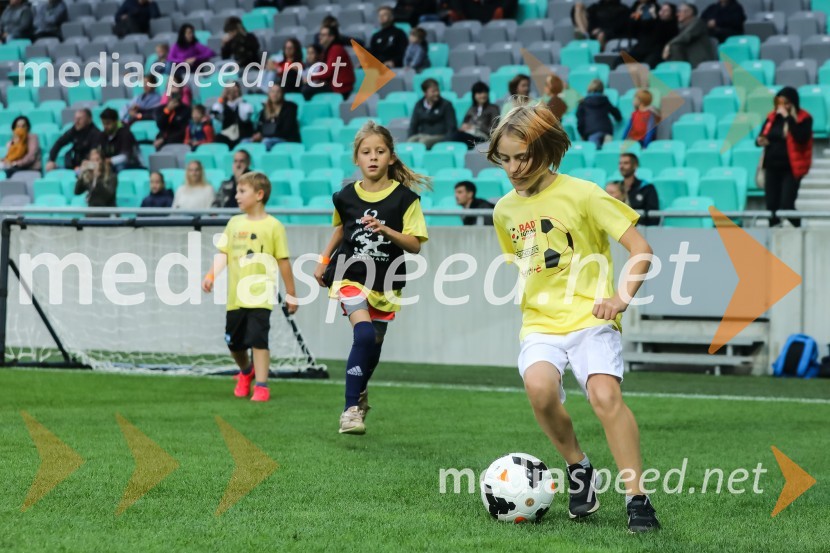 Dobrodelni dogodek Fundacije Miroslava Cerarja