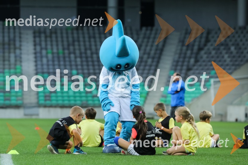 Dobrodelni dogodek Fundacije Miroslava Cerarja