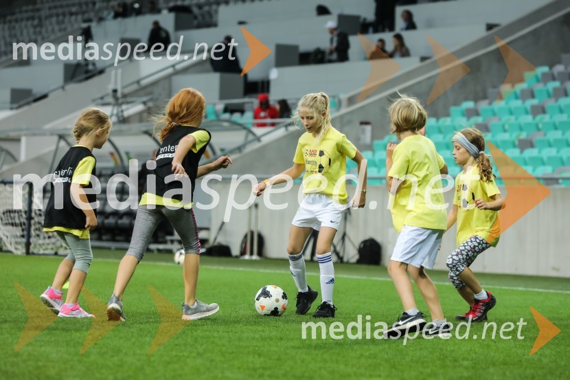 Dobrodelni dogodek Fundacije Miroslava Cerarja